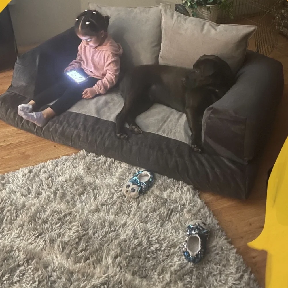 Home made dog bed